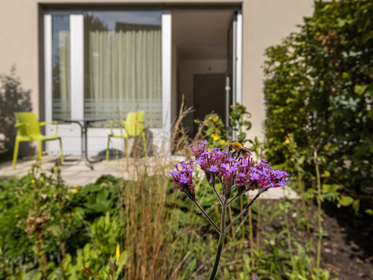 Palliativarbeit Nordsachsen Palliativarbeit Nordsachsen